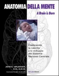 John E. Upledger Anatomia della mente. A brain is born (Tapa blanda) - Imagen 1 de 1