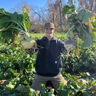 Brassica Overload Mix Food Plot Seed, Seeds 1/2 Acre, Deer, Turkeys, 3 lb Jug