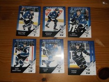 2017-18 VICTORIA ROYALS TYLER SOY WHL SINGLE PLAYER CARD