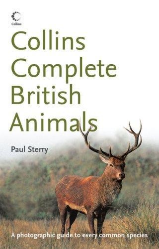 Collins Bto Guide To British Birds - Paul Sterry | Cuotas Sin Inter&eacute;s