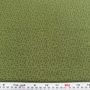 Quilt Club Collection 2004 Thimbleberries RJR Fabrics Cotton Remnant 22" x 44" - Picture 1 of 2