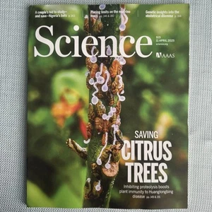 AAAS Science Magazine Vol 388 No 6743 11 April 2025 Citrus Trees Plant Immunity - Imagen 1 de 1