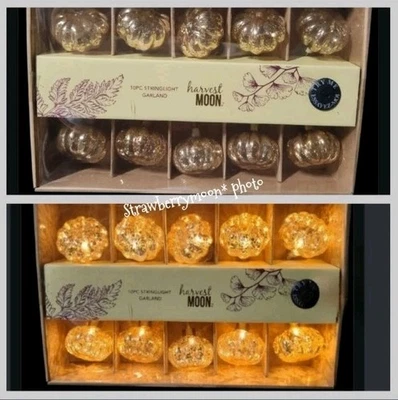 Mercury Glass Pumpkin LED String Lights Garland Fall Thanksgiving Decor NEW - Image 1 of 4