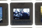 Jumanji Joe Johnston 1995 Film Movie Promo Photo Slide 35mm #4