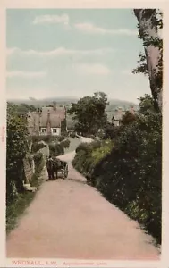 (ca40) Wroxall Appledurcombe Lane - Isle of Wight Postcard - Foto 1 di 2
