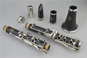 Nuevo Clarinete Top Buffet Crampon B18 con Estuche - Envío Gratis - Imagen 1 de 6