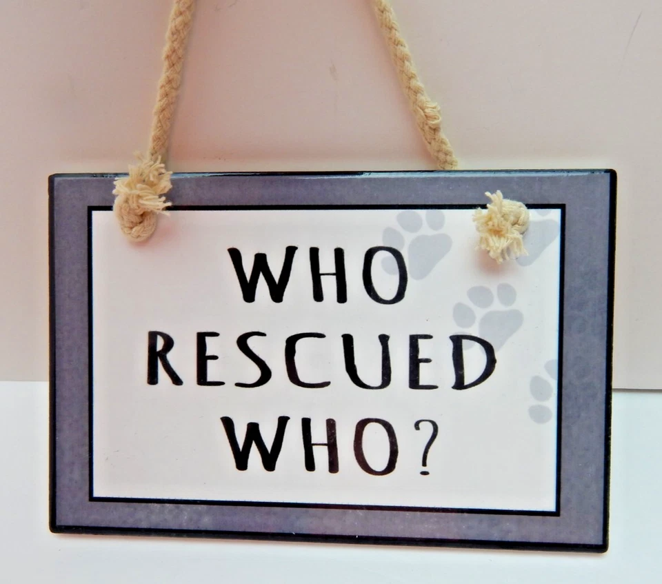 ¿Quién rescató a quién? Placa de cerámica - Nunca exhibida gris y blanco 7 pulgadas de ancho (W283 Foto 1 de 4