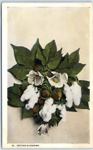 Postkarte - Baumwollblüten - Bild 1 von 2