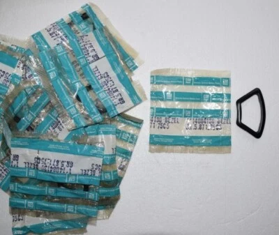 JUEGO DE 19 BISELES DE MOLDURA DE RUEDA CHEVROLET CELEBRITY 1984-1989 14084130 EUROSPORT Foto 1 de 4