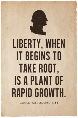 President George Washington Liberty Quote Silhouette Poster 12x18 - Image 1 of 3