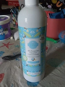 Scentsy All Purpose Concentrate Ocean Air & Coconut Water - Picture 1 of 3