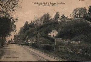 CPA 17 - TAILLEBOURG (C. Maritime) - Avenue de la Gare et Terrasse du Château - Picture 1 of 2