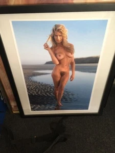 9 Playboy Playmate - Penthouse Framed Posters + bonus - Picture 1 of 9