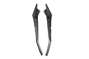 Carbon Seitenverkleidung unter Tank für Triumph Speed Triple 1200 RS 2021- - Bild 1 von 3