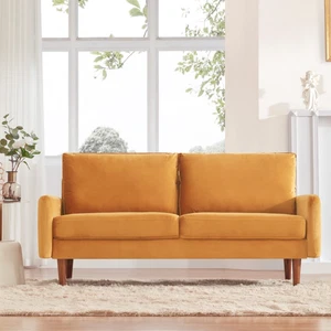 Dreamsir 58'' Mid Century Modern Sofa, Small Love Seats for Small Spaces, Velvet