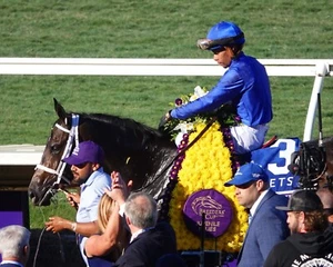 COLOR PHOTO IMMERSIVE JUVENILE FILLY WINNER #6 - Picture 1 of 1