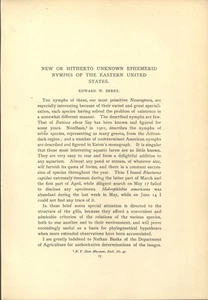 1903 Nymphs of Eastern US Ephemerid Edward W Berry Naturalist Vintage Article - Imagen 1 de 3