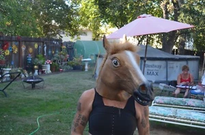 Deluxe RUBBER Horse Mask Funny Angry Animal Costume Full Head Adult - Picture 1 of 5