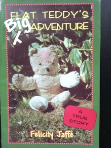 Flat Teddy's Big Adventure book with lovely pictures - Picture 1 of 2