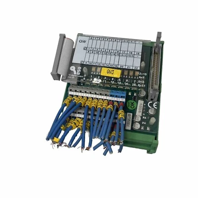 ESA 16 DIGITAL OUTPUT MODULE 24VDC  BRD007.444 Used & Working - Image 1 of 4