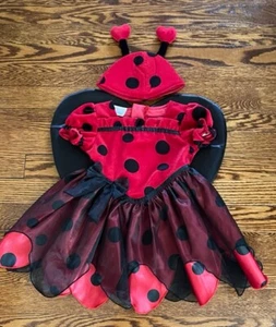 MINIWEAR TODDLER Girls Ladybug Halloween Costume DRESS & HAT SIZE 18 Months - Picture 1 of 10