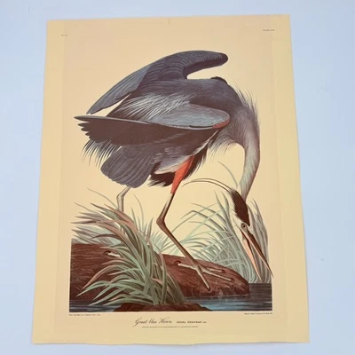 Vtg Audobon Print No.43 Great Blue Heron Havell Edition Repro - Image 1 of 4