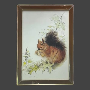Stampa arte scoiattolo 5 x 7 scena naturale stampa arte animali selvatici incorniciata oro firmata - Foto 1 di 4