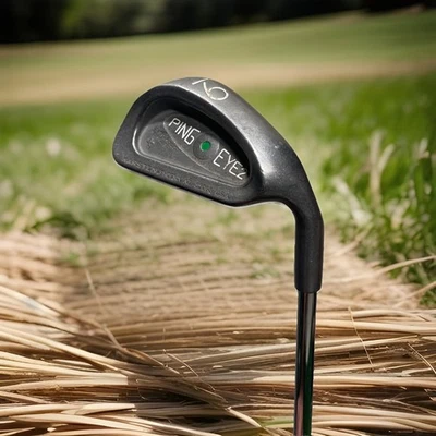 Ping Eye 2 Green Dot Single 9 Iron Karsten KT-M Regular Shaft UPC188 - Image 1 of 4