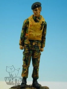 Accurate Armour 1:35 UK Amphibious Engineer Standing F37* - Bild 1 von 1