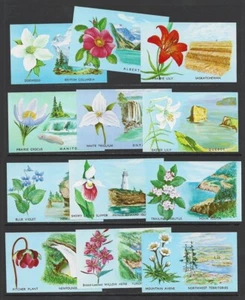 Canada 1965 Bileski Promotion Provincial Flowers Cinderella Set of 12 VF-NH - Picture 1 of 1