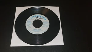Dirtsman Simmer Down 7" Reggae Vinyl 1992 Xterminator Jamaica - Picture 1 of 2
