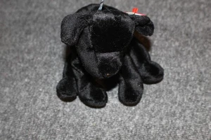 luke beanie baby 1998 - Bild 1 von 2