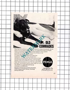 PDSA Advert - 1976 Small Clipping / Print - Picture 1 of 1