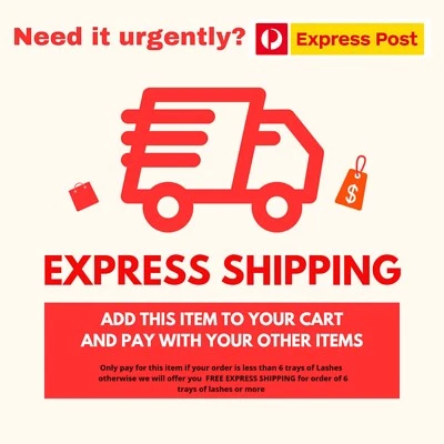 EXPRESS SHIPPING  - ADD ON your Order ( 1 to 3 days ) - image 1 of 2