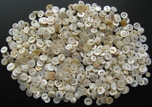 Lote de 1 botones de carcasa diminuta de 0,25 libras 1/4 lb fregona coser a través de vástago liso - Imagen 1 de 8