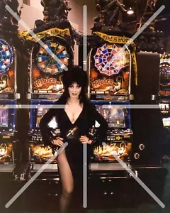 Elvira Mistress Of The Dark Slot Machine Promo 8x10 Photography Reprint - Picture 1 of 1