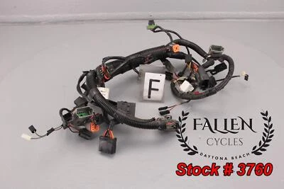 Harley Street Glide 2006 FLHX carenado interconexión cableado arnés Foto 1 de 4