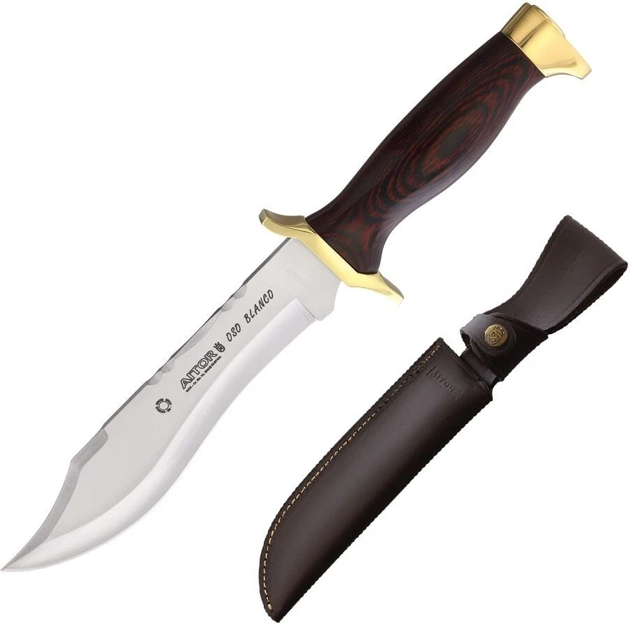 Aitor Bowie Jr Fixed Knife 6" Stainless Steel Blade Wood Handle With Brass 16082