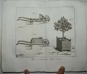 AGRICOLTURA - fig. 1818 - Padova - 1 tavola - veterinaria - vol. 6° - Foto 1 di 9