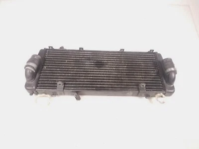 08 Aprilia RSV 1000 RSV1000R Radiator Free Shipping - Imagem 1 de 4