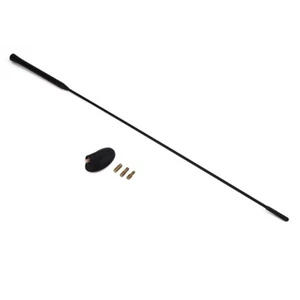 Antenna mast kit AM/FM With Base Kit For Ford Focus 2000-2007 XS8Z18919AA New - Foto 1 di 24