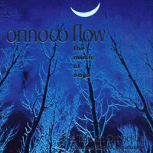 (CD) Taliesin Orchestra - Orinoco Flow The Music Of Enya - Image 1 of 1