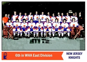 1974-75 Topps WHA CTNW #146 New Jersey Knights Custom Checklist Card - Picture 1 of 2