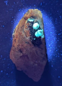 Onda reactiva UV - Fantástico stock antiguo - Mauldin Mountain, Arkansas, rara - Imagen 1 de 14