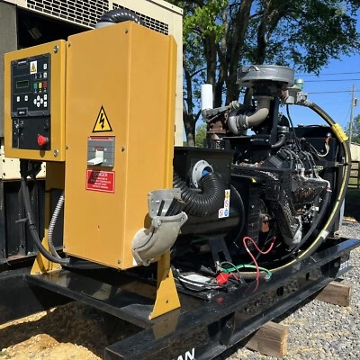 Generador de gas natural Olympian G125G1 GM-8,1 L 125 kW  Foto 1 de 4