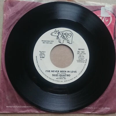 SUZI QUATRO I've Never Been In Love PROMO DJ 45 7" POP ROCK Record Vinyl Records Foto 1 de 2