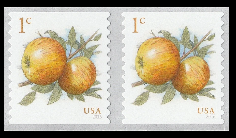 US 5037 Apples 1c coil pair MNH 2016 - Image 1 of 1