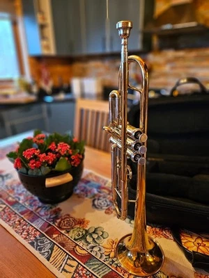 Trompeta Besson 709 EE. UU., BB Foto 1 de 4