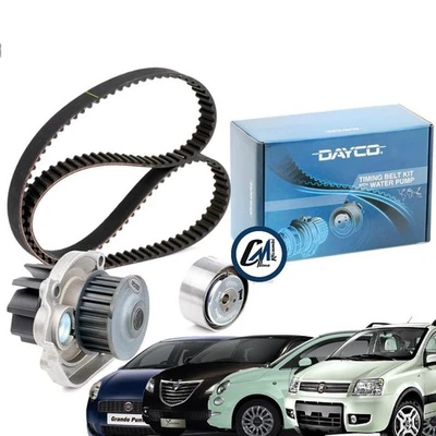 KIT DISTRIBUZIONE POMPA ACQUA DAYCO GRANDE PUNTO 1.2 1.4 GPL METANO KTBWP4662 - Imagen 1 de 4