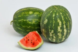 Sandía Dolce Lungo Classico - Dulce Largo Italiano 10+ semillas Cl 021 - Imagen 1 de 1